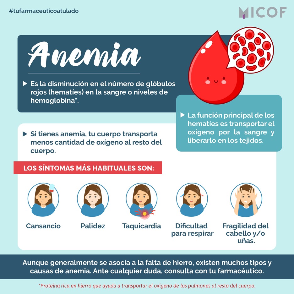 Todo Sobre La Anemia Conocida Enfermedad De La Sangre Images And | Porn ...