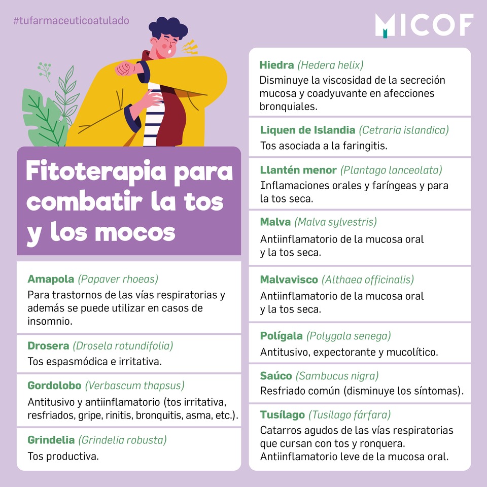 Cómo saber si tengo un tapón de cera en el oído y lo que no debes hacer -  MICOF - Muy Ilustre Colegio Oficial de Farmacéuticos de Valencia