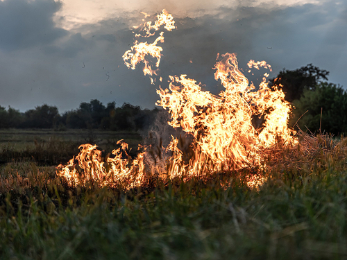 ¿Cómo puede afectar el humo de los incendios al cuerpo a largo plazo?