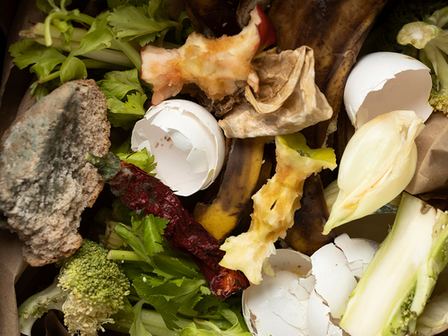 Moho en los alimentos: cuándo hay que tirarlos y cuándo se pueden salvar Moho en los alimentos: cuándo hay que tirarlos y cuándo se pueden salvar